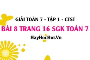 Giải bài 8 trang 16 Toán 7 Tập 1 SGK Chân trời sáng tạo